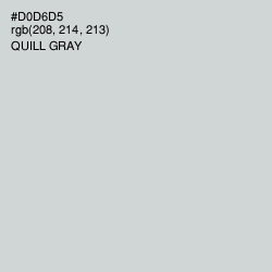 #D0D6D5 - Quill Gray Color Image